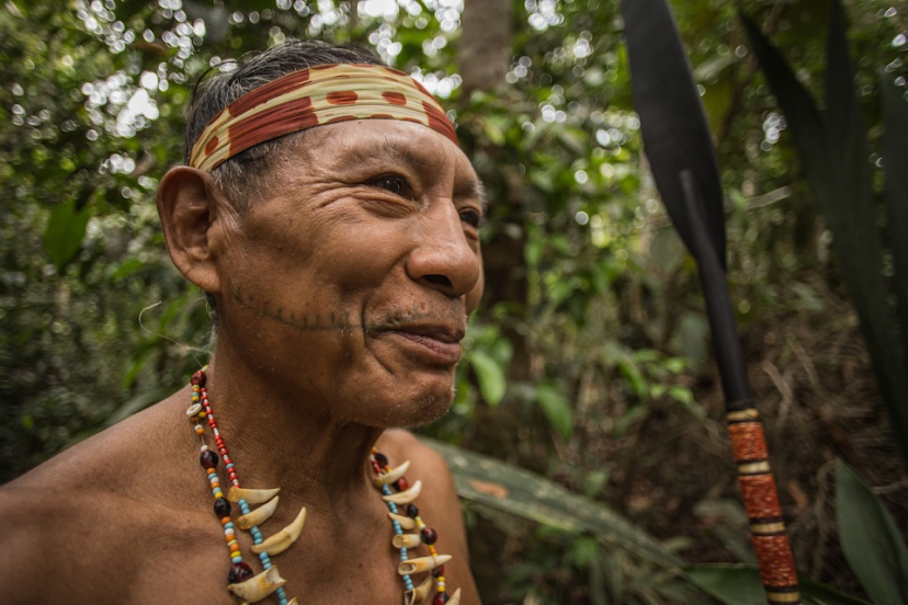 A Matsés hunter who uses kambo for strength and vitality before the hunt